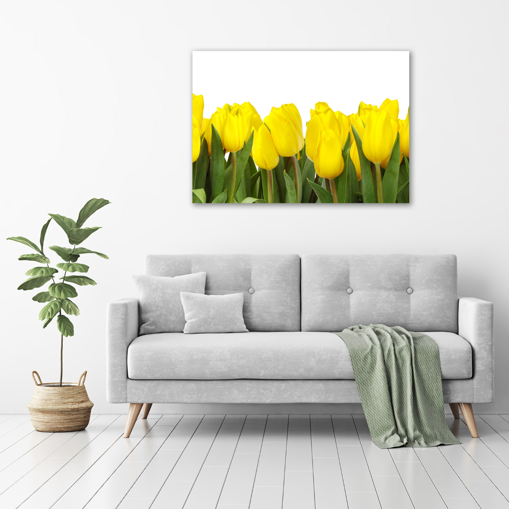 Print on acrylic Yellow tulips