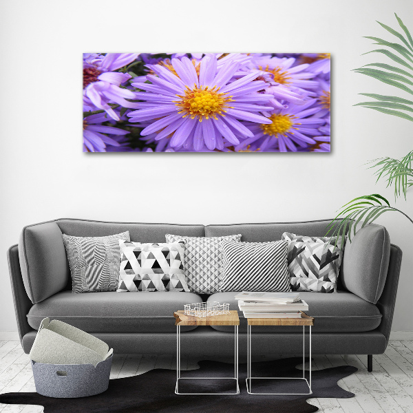 Print on acrylic Asters