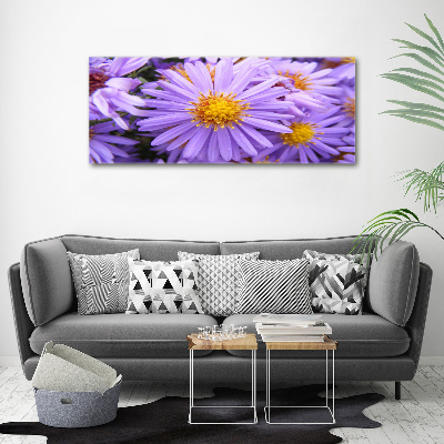 Print on acrylic Asters