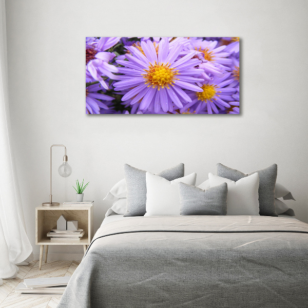 Print on acrylic Asters