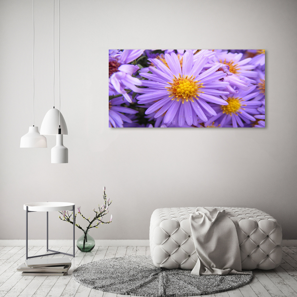 Print on acrylic Asters