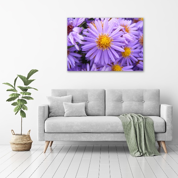 Print on acrylic Asters