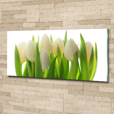 Print on acrylic Tulips