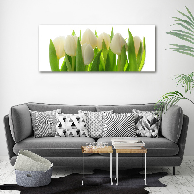 Print on acrylic Tulips