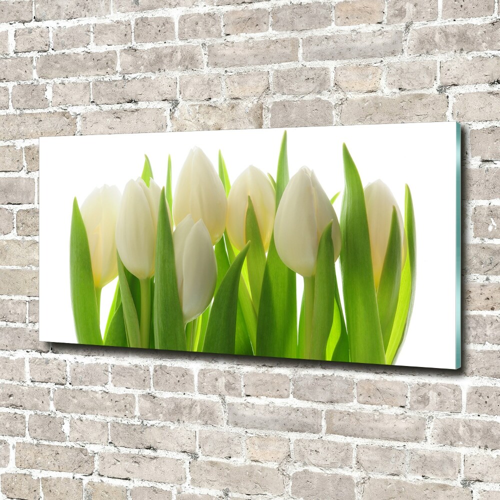 Print on acrylic Tulips