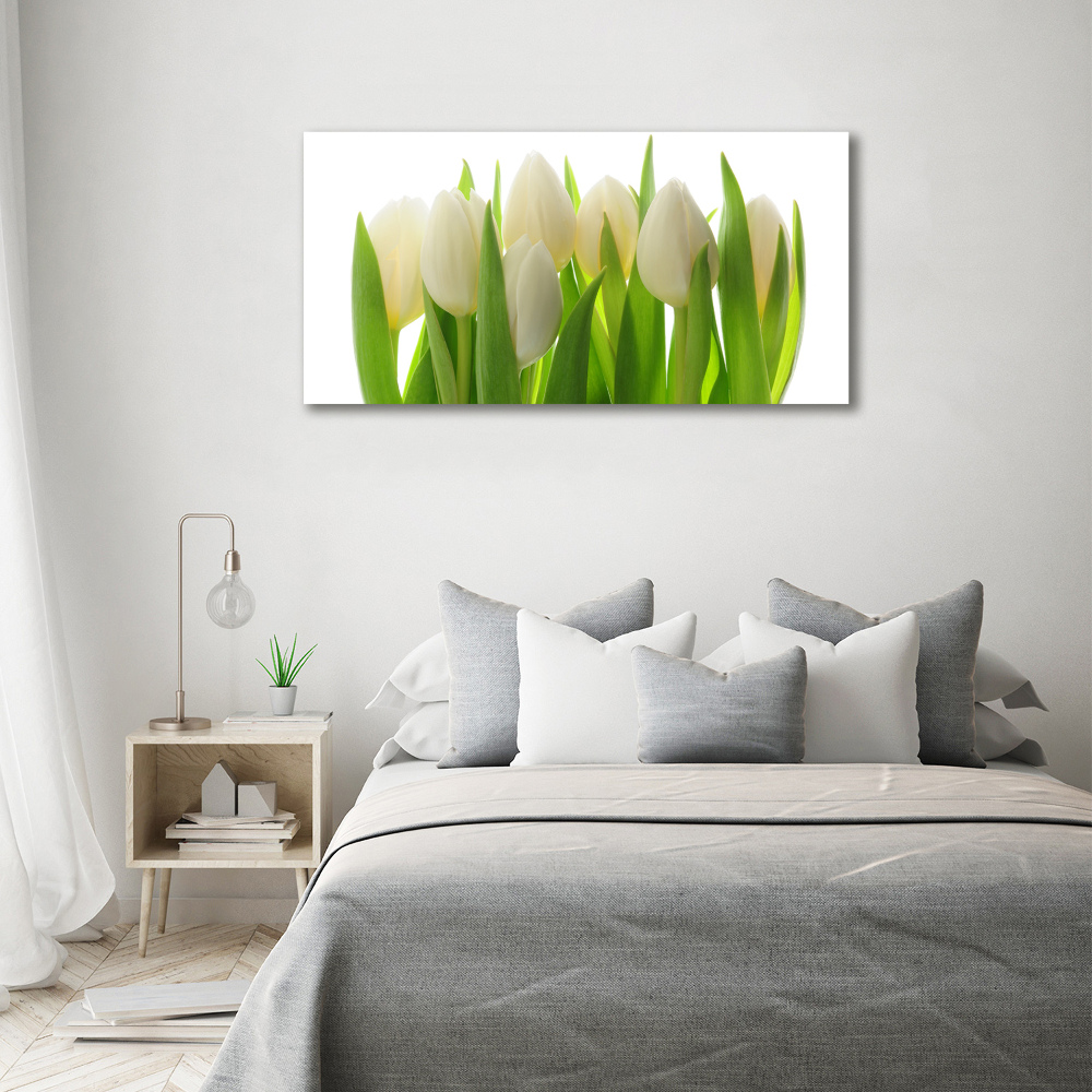 Print on acrylic Tulips