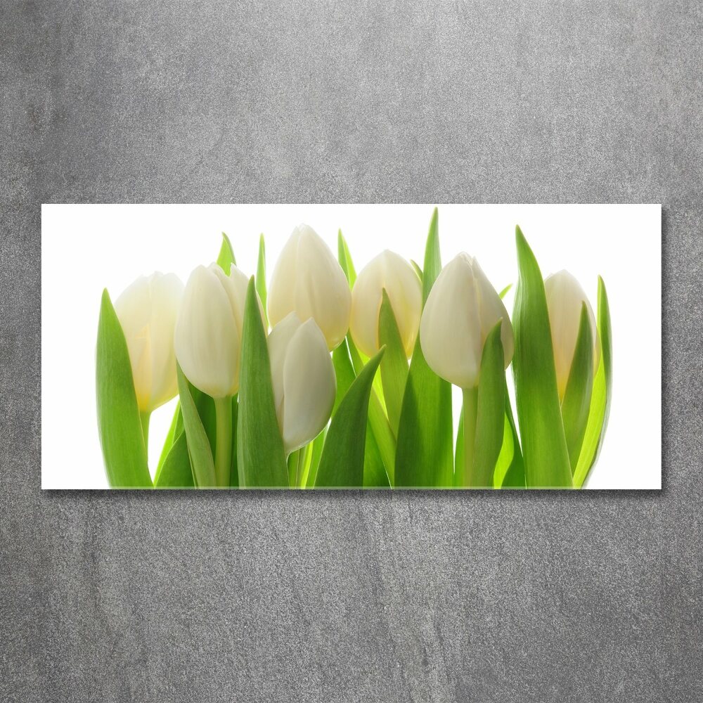 Print on acrylic Tulips