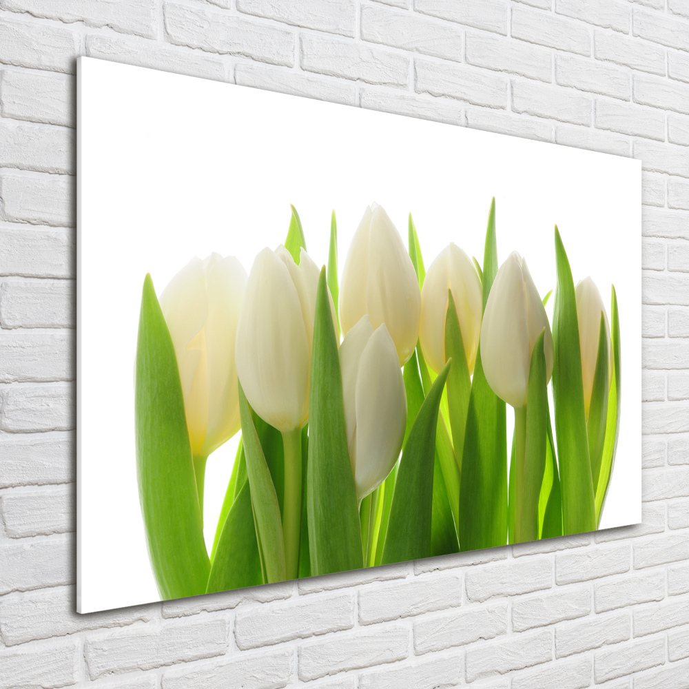 Print on acrylic Tulips