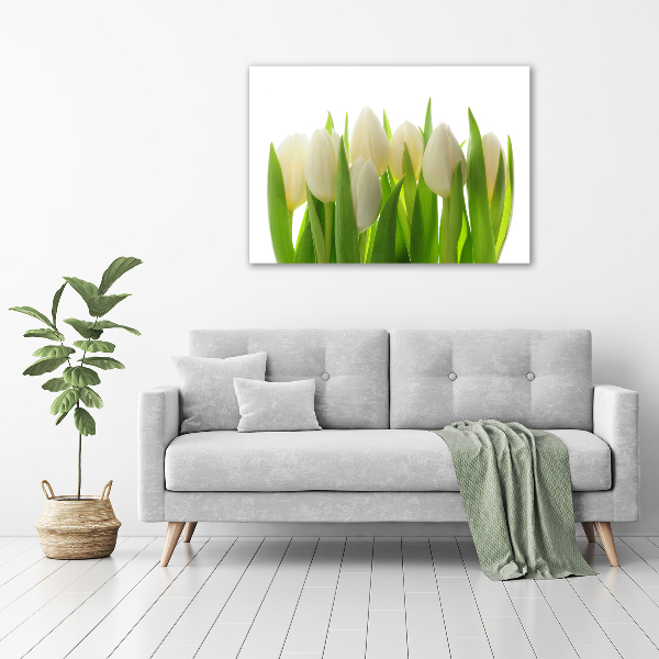 Print on acrylic Tulips