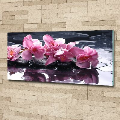 Wall art acrylic Pink orchid