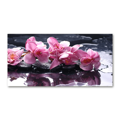 Wall art acrylic Pink orchid