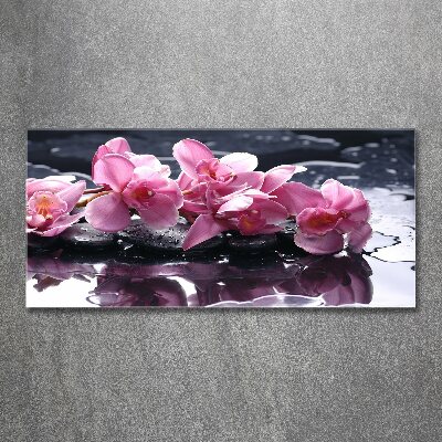 Wall art acrylic Pink orchid