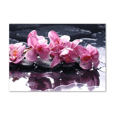 Wall art acrylic Pink orchid