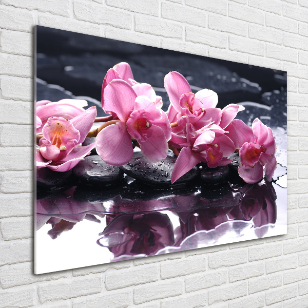 Wall art acrylic Pink orchid