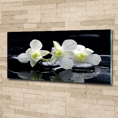 Wall art acrylic Orchid