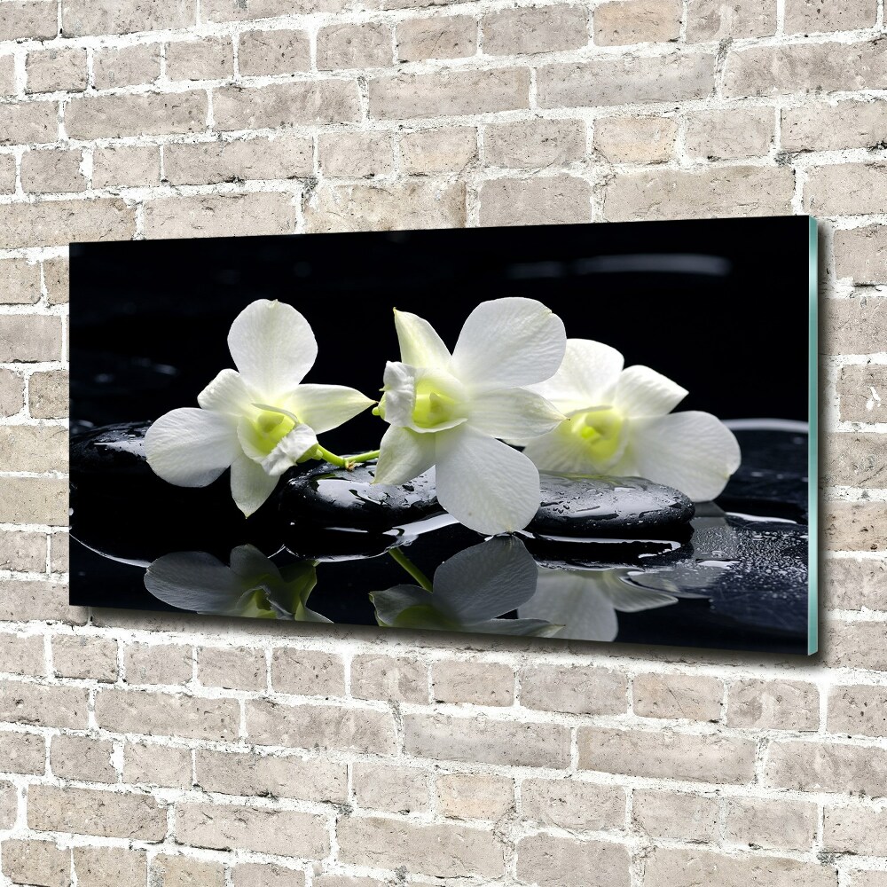 Wall art acrylic Orchid