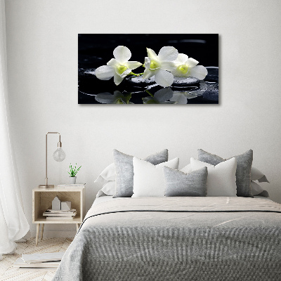 Wall art acrylic Orchid