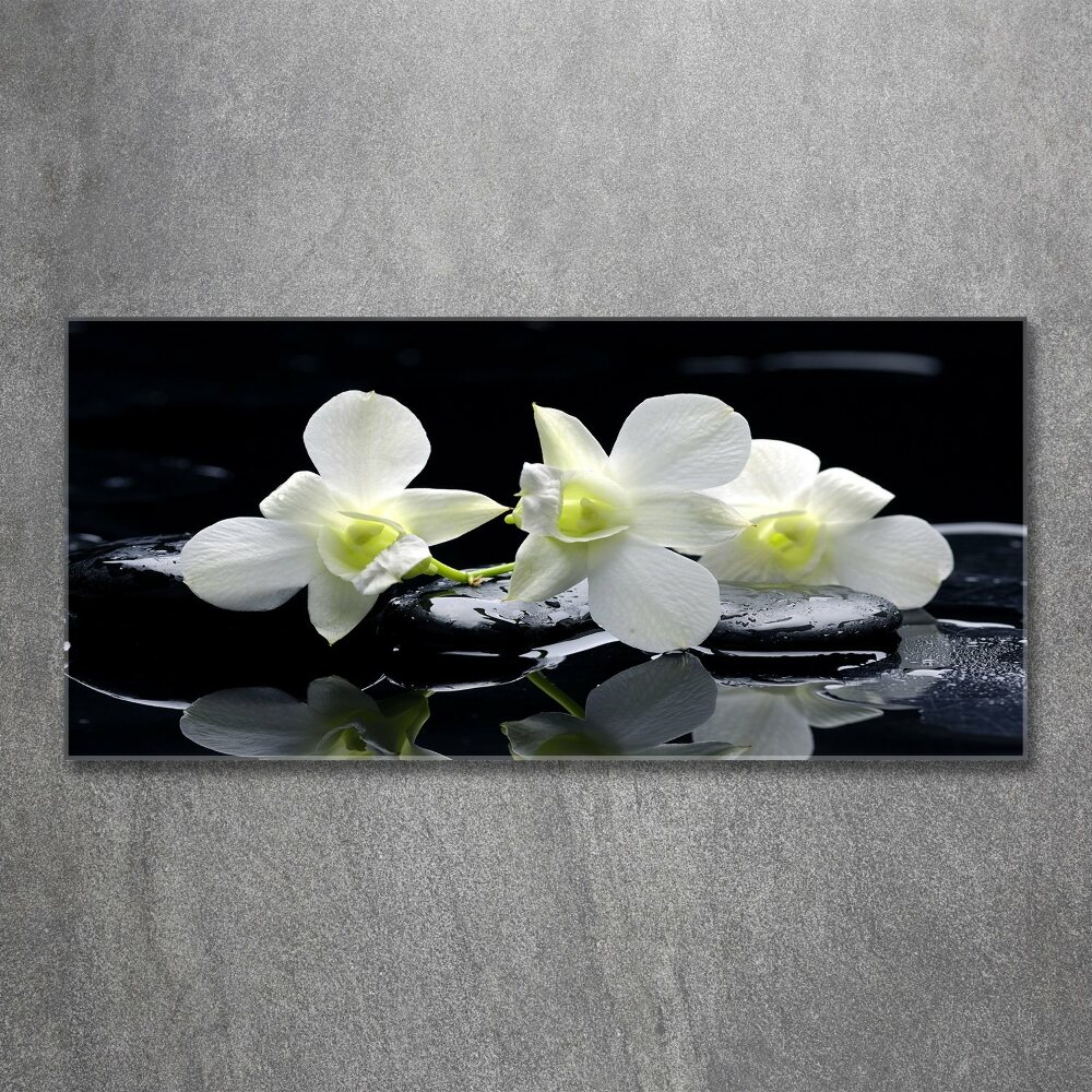 Wall art acrylic Orchid