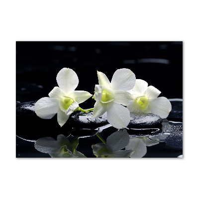 Wall art acrylic Orchid