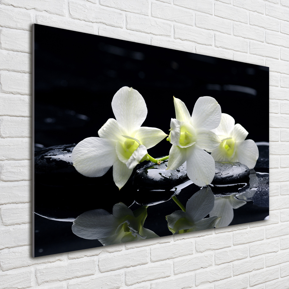 Wall art acrylic Orchid