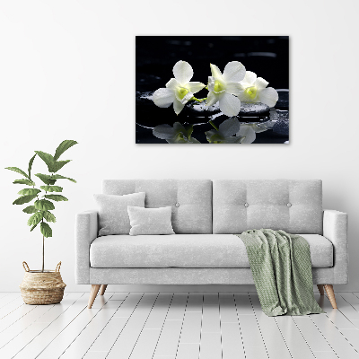 Wall art acrylic Orchid