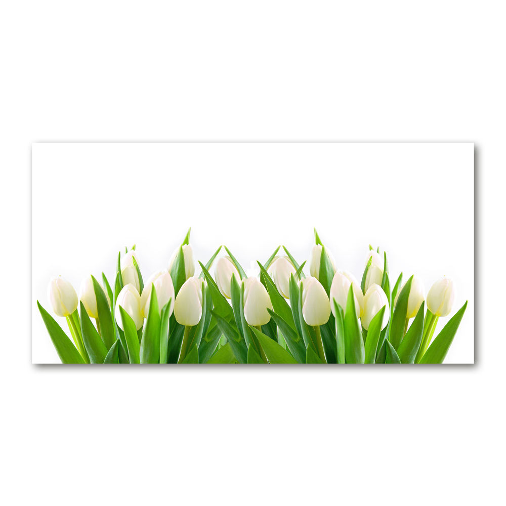 Wall art acrylic White tulips