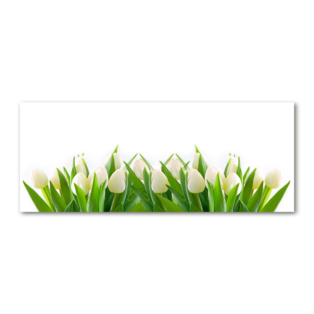 Wall art acrylic White tulips