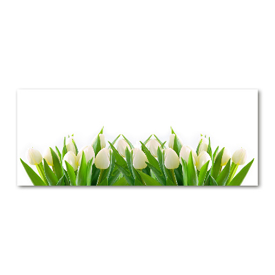 Wall art acrylic White tulips