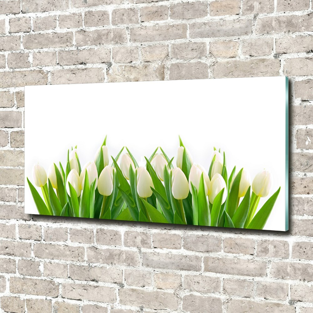 Wall art acrylic White tulips