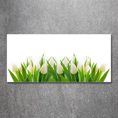 Wall art acrylic White tulips