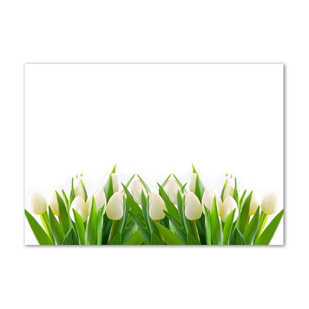 Wall art acrylic White tulips