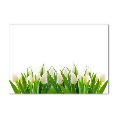 Wall art acrylic White tulips