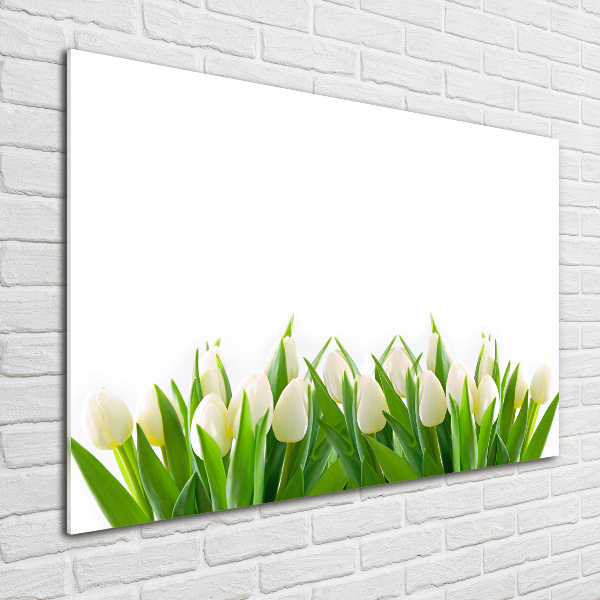 Wall art acrylic White tulips