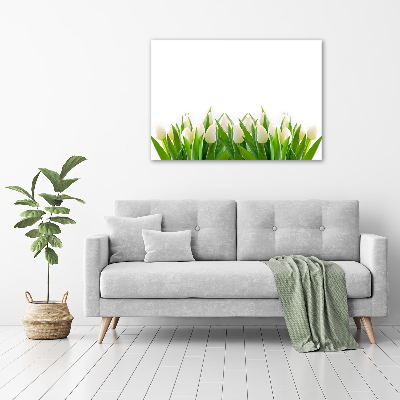 Wall art acrylic White tulips