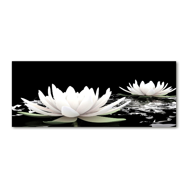 Acrylic wall art Water lilies