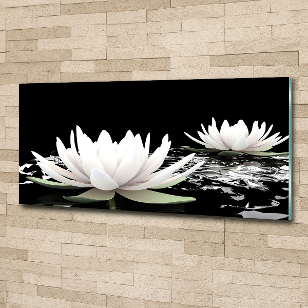 Acrylic wall art Water lilies