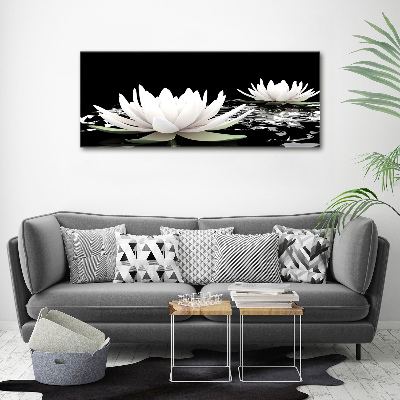 Acrylic wall art Water lilies