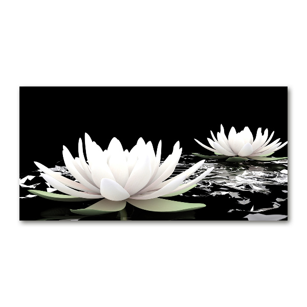 Acrylic wall art Water lilies