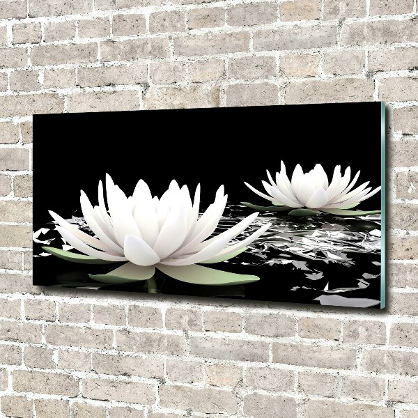 Acrylic wall art Water lilies