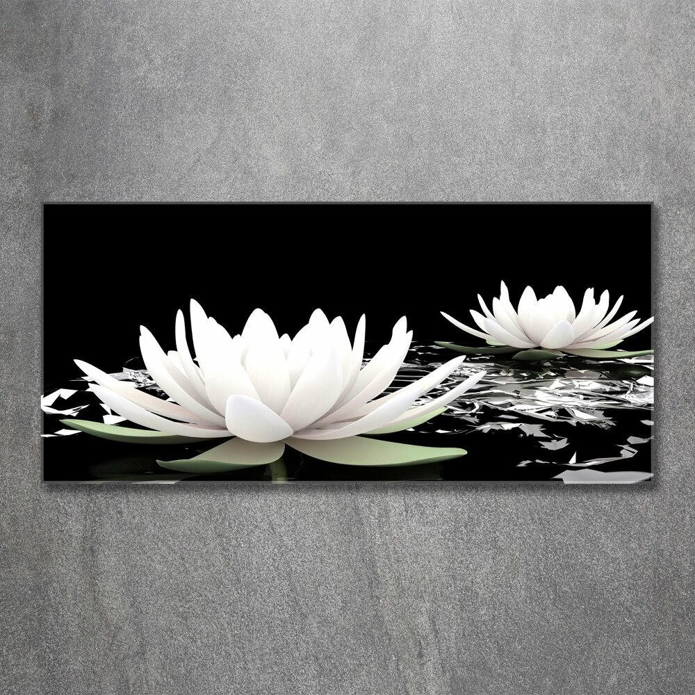 Acrylic wall art Water lilies