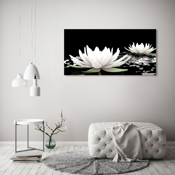 Acrylic wall art Water lilies