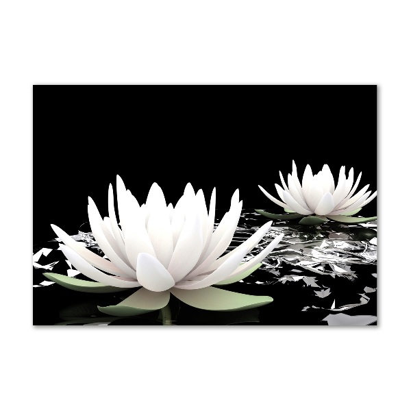 Acrylic wall art Water lilies