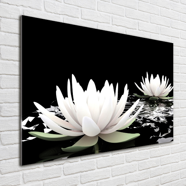 Acrylic wall art Water lilies