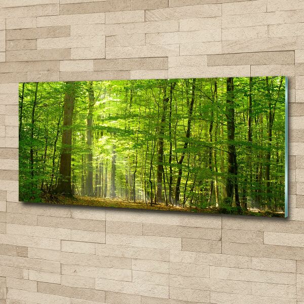 Print on acrylic Deciduous forest