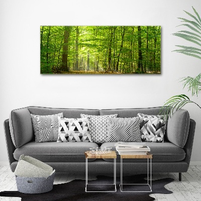 Print on acrylic Deciduous forest