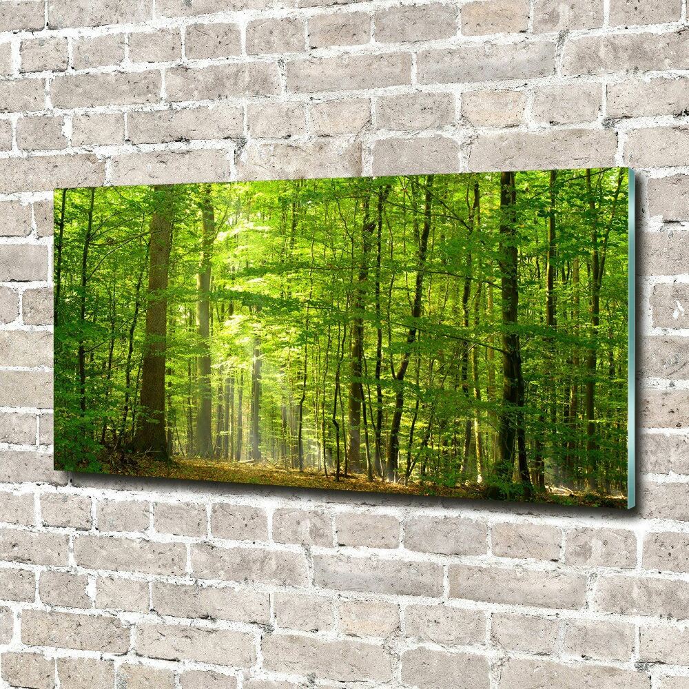 Print on acrylic Deciduous forest