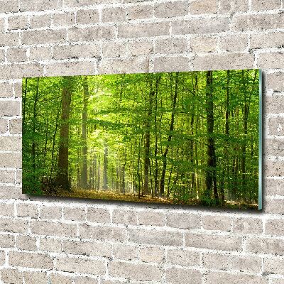 Print on acrylic Deciduous forest