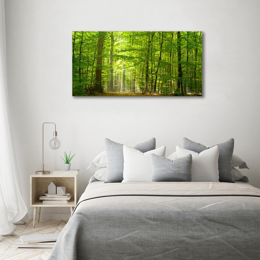 Print on acrylic Deciduous forest