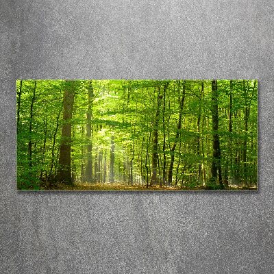 Print on acrylic Deciduous forest