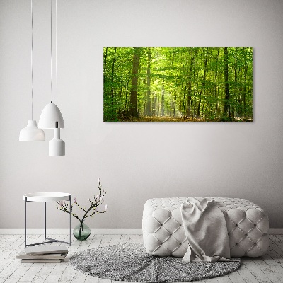 Print on acrylic Deciduous forest